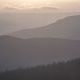 scree tree and layered mist